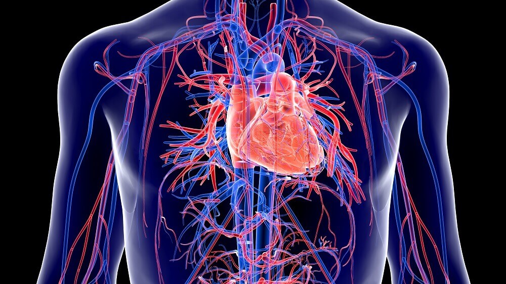 long-covid-treatment